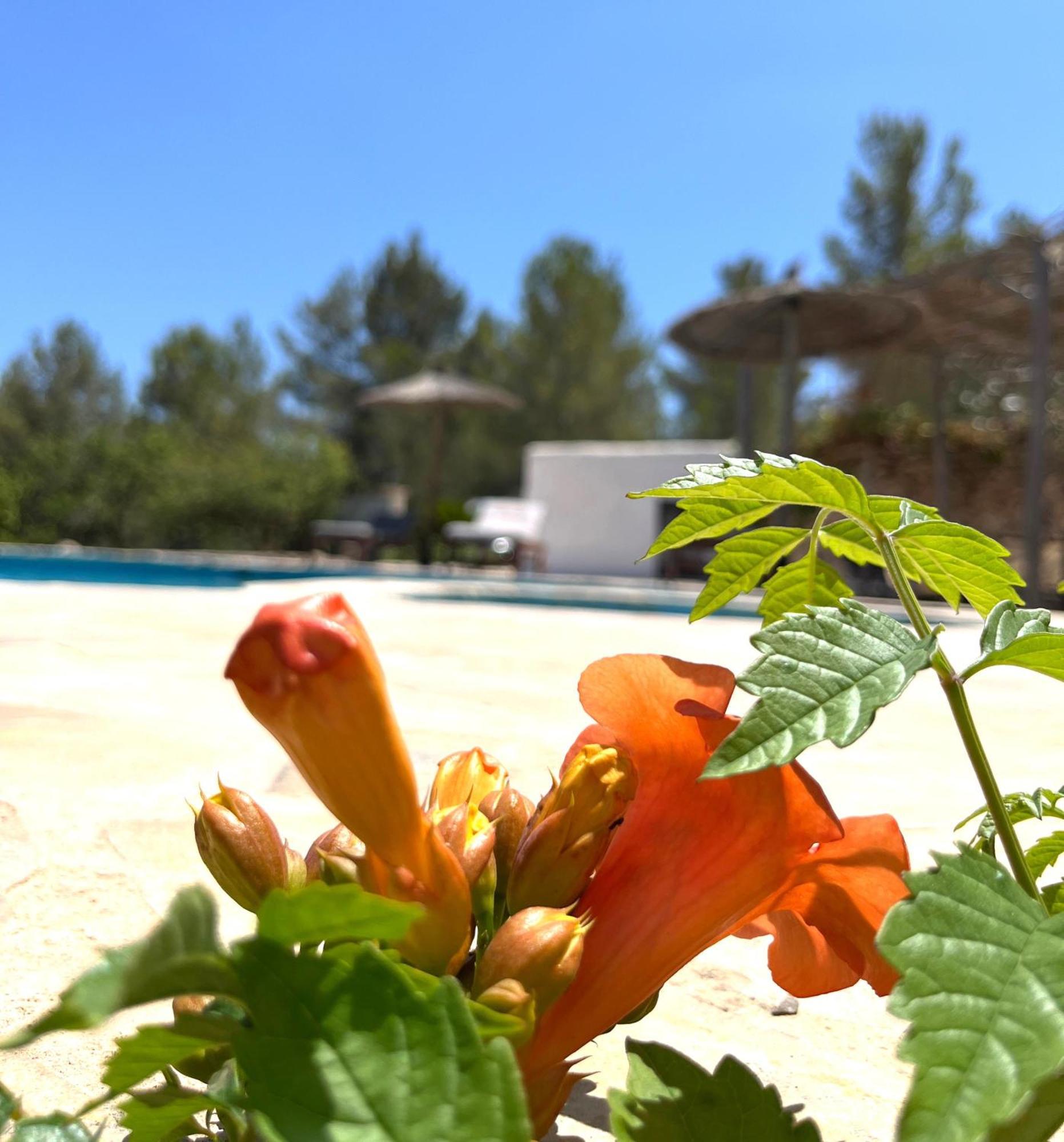 Villa Can Mestreso Suite Ibiza Sant Joan De Labritja Εξωτερικό φωτογραφία
